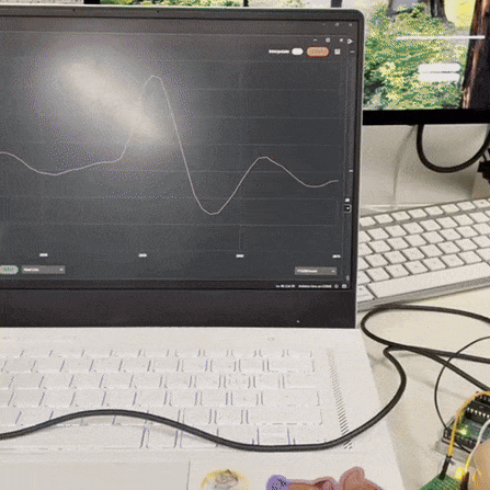 Showcasing a successful serial plotter reading of a heartbeat when the sensor is attached to a finger.