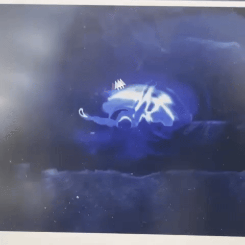 Demo of the working digital water code.