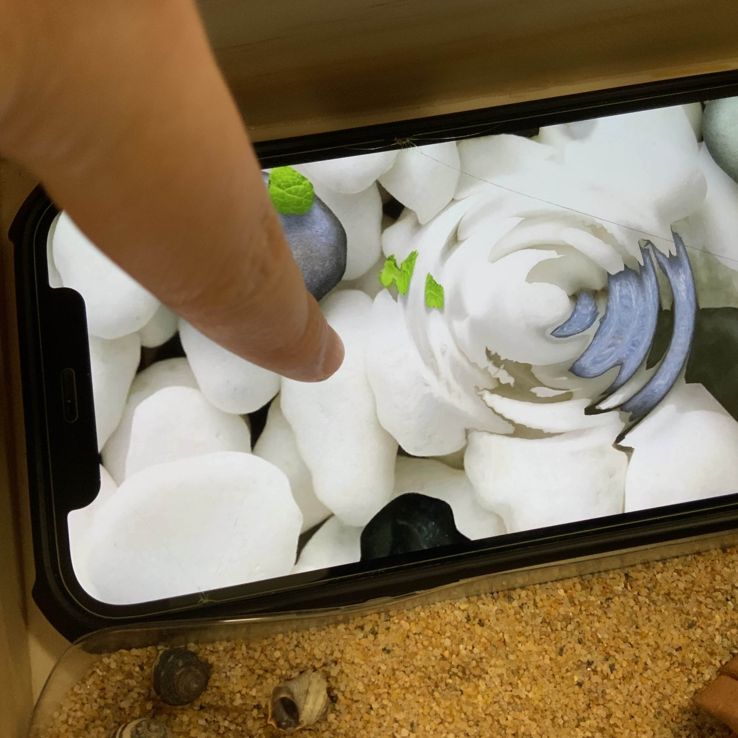 Interacting with the placeholder water screen.